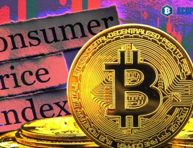 Bitcoin Price Rises Despite Declining US CPI