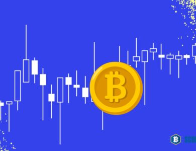 Cryptocurrency Investment: Pinnacle of Crypto Market Indicators