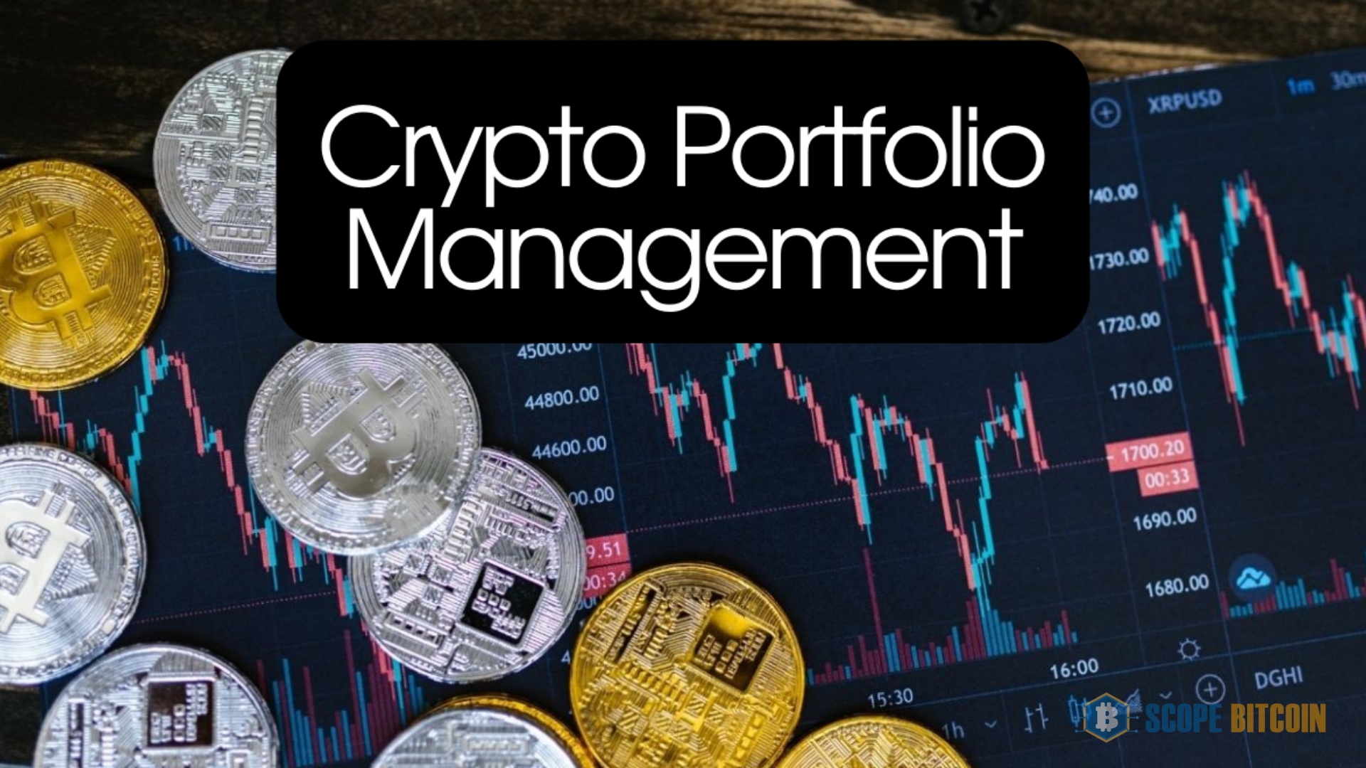 Portfolio Management