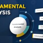 How Does Fundamental Analysis Work in Forex?