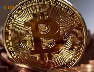 Bitcoin Addresses Decline, Amid Possible Rebound