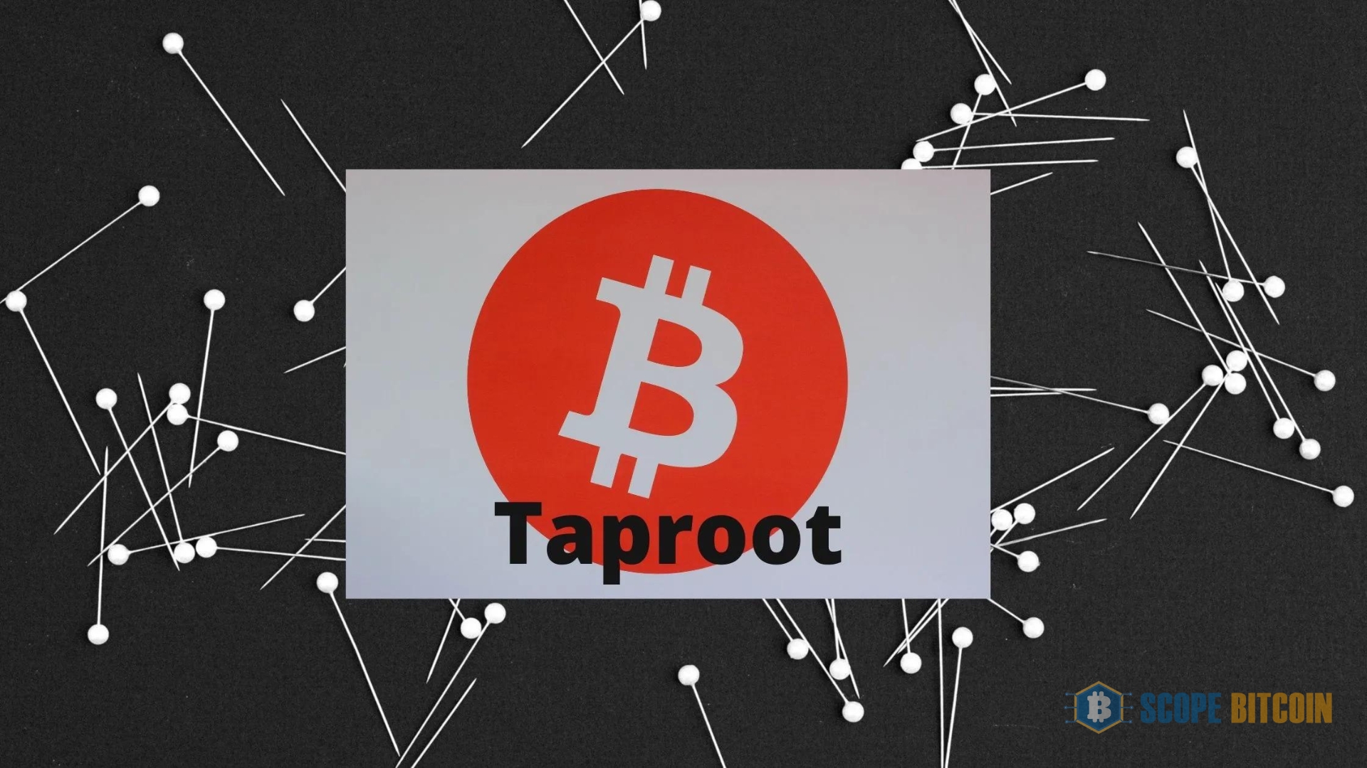 Who Developed Taproot Bitcoin?