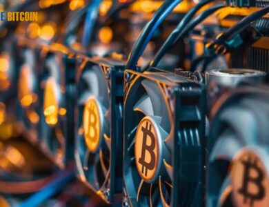 Rapid Bitcoin Collection by "Bigger Miners" Post Bitcoin Halving