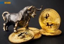 Bitcoin Price Forecast: $100,000 by Year's End 2024