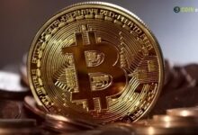 Bitcoin Beginner Guide: Everything You Need to Know