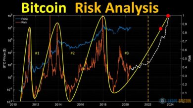 Bitcoin Risk Analysis: Complexities of the World's Leading Crypto