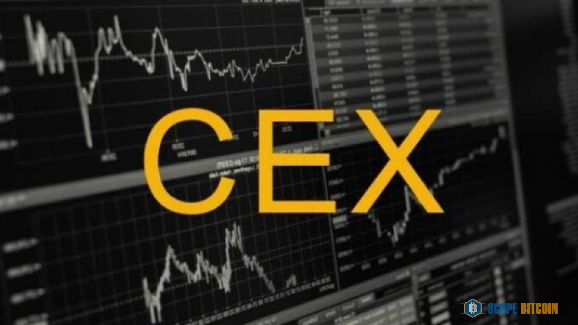 Centralized Exchanges (CEXs)