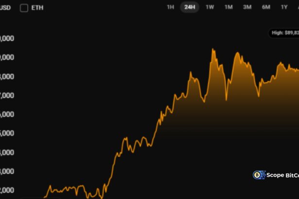 Bitcoin Price USD Prediction