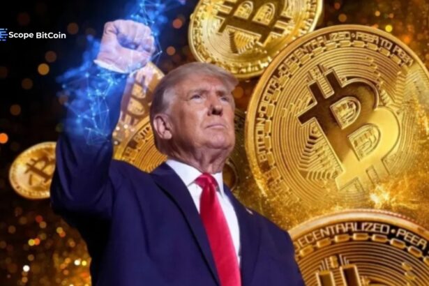 Trump's Shift on Bitcoin