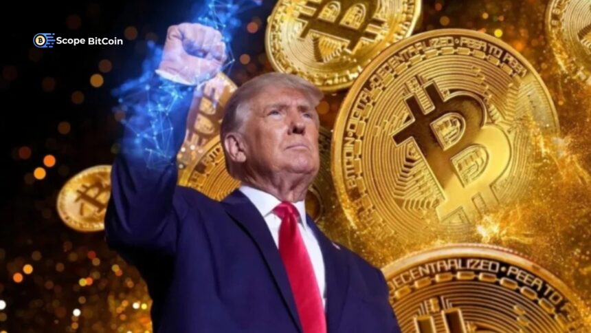 Trump's Shift on Bitcoin