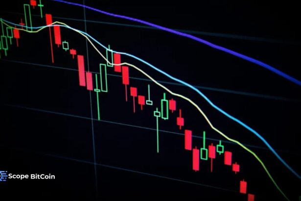 crypto market and stock decline reasons