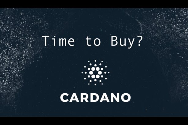 Cardano Could See 800% Profit