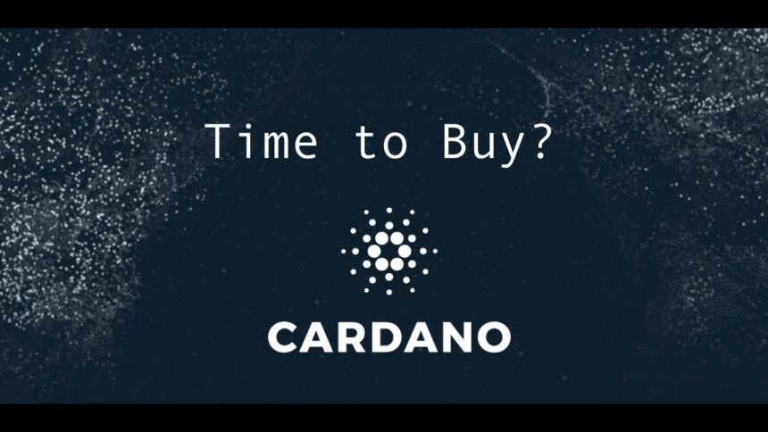 Cardano Could See 800% Profit