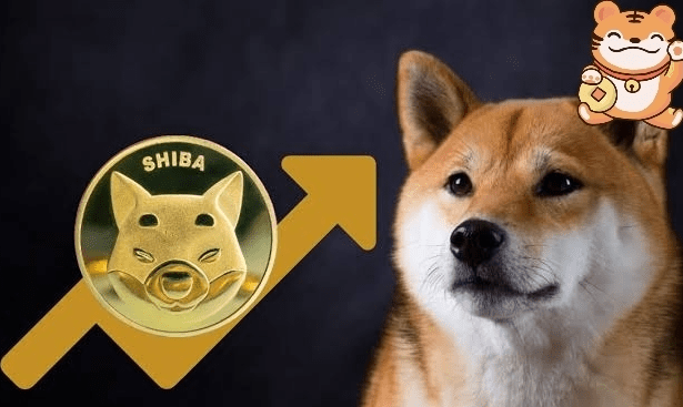 Shiba Inu (SHIB) Price