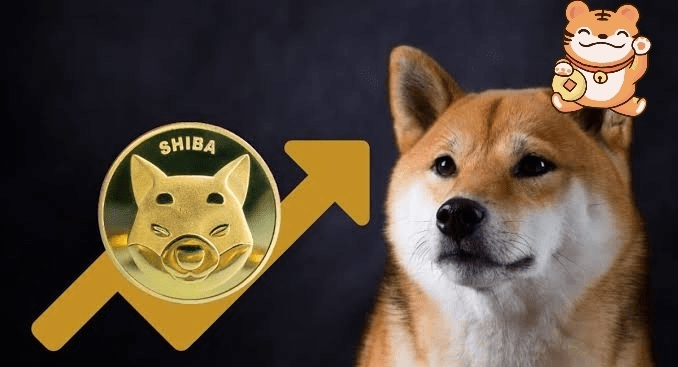 Shiba Inu (SHIB) Price