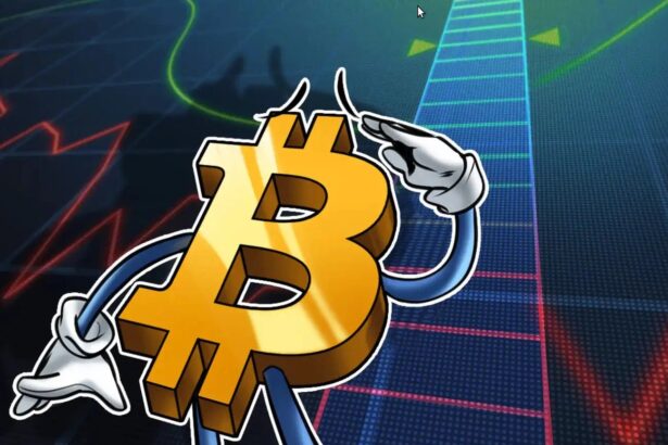 Bitcoin Quickly Rebounds