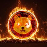 Shiba Inu Burn Rate Surges