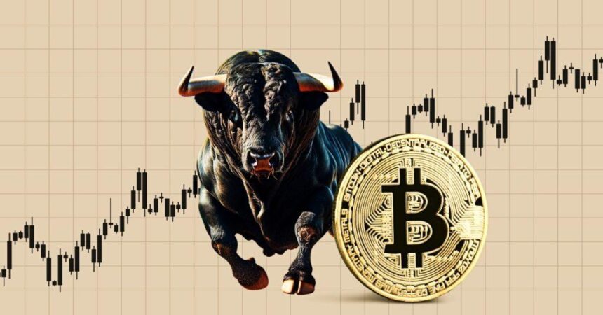 Bitcoin Bull Run Every 4 Years