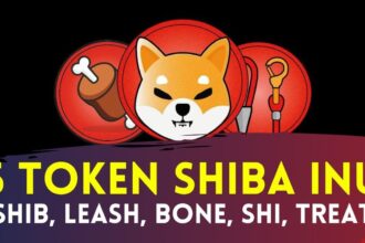 KuCoin Completes Shiba Inu