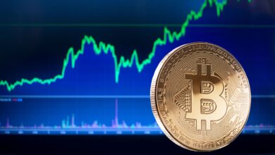 Bitcoin Adoption Amid Volatility Trends in Supply