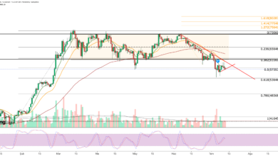 Bitcoin Faces Extreme Fear Amid Volatility