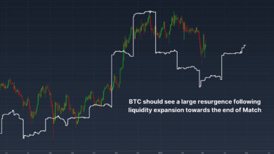 Bitcoin Price Analysis Pattern and Future Outlook