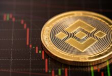 Cryptocurrency Market Update Bitcoin Solana and Ethereum