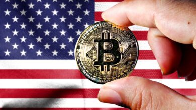 US Government's Crypto Strategic Reserve Plan