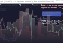 Bitcoin Whale Accumulation Surge Signals