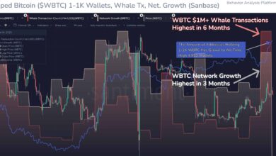 Bitcoin Whale Accumulation Surge Signals