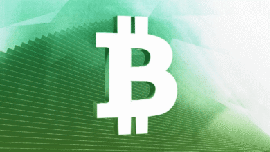 Bitcoin Futures Open Interes