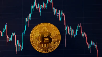 Bitcoin Price Drops Amid
