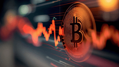 Bitcoin Price Surge