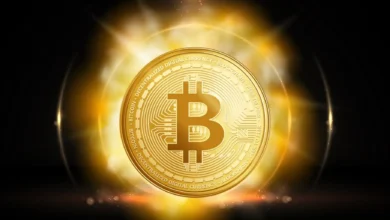 Bitcoin Price Surge Market