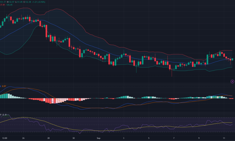 Bitcoin Price Trends: Resistance