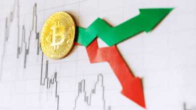 Bitcoin Price Volatility Key