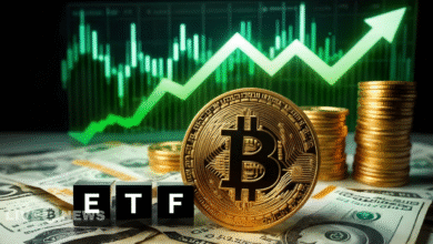 Bitcoin and AAVE Surge