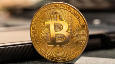 Bitcoin's Institutional Adoption