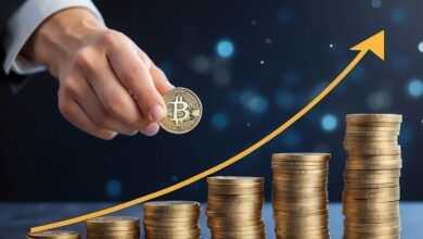 Bitcoin's Price Stability