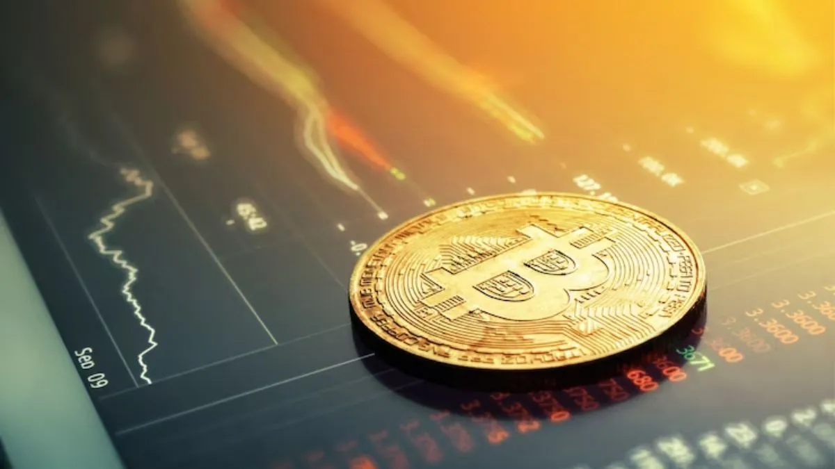 Bitcoin's Rise Key Drivers and Future