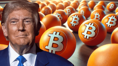 Bitcoin's Rise