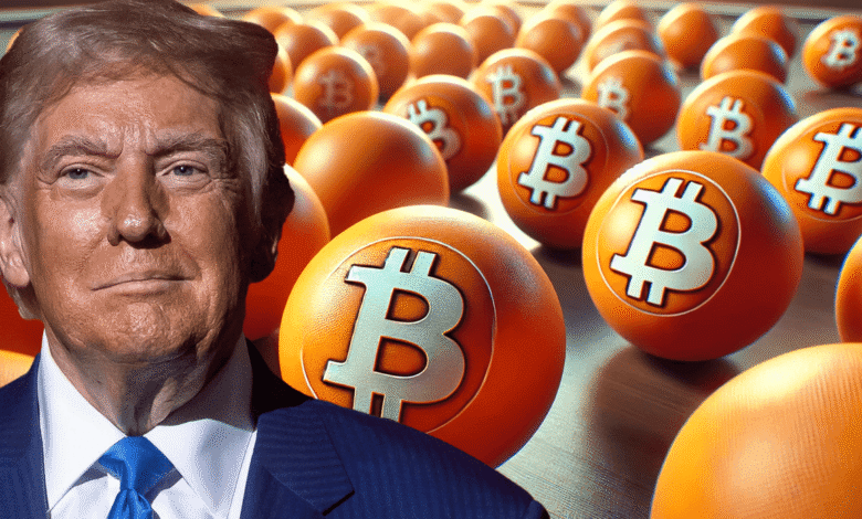 Bitcoin's Rise