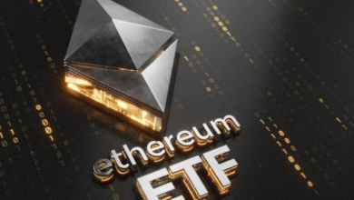 Fidelity Ethereum ETF Sees