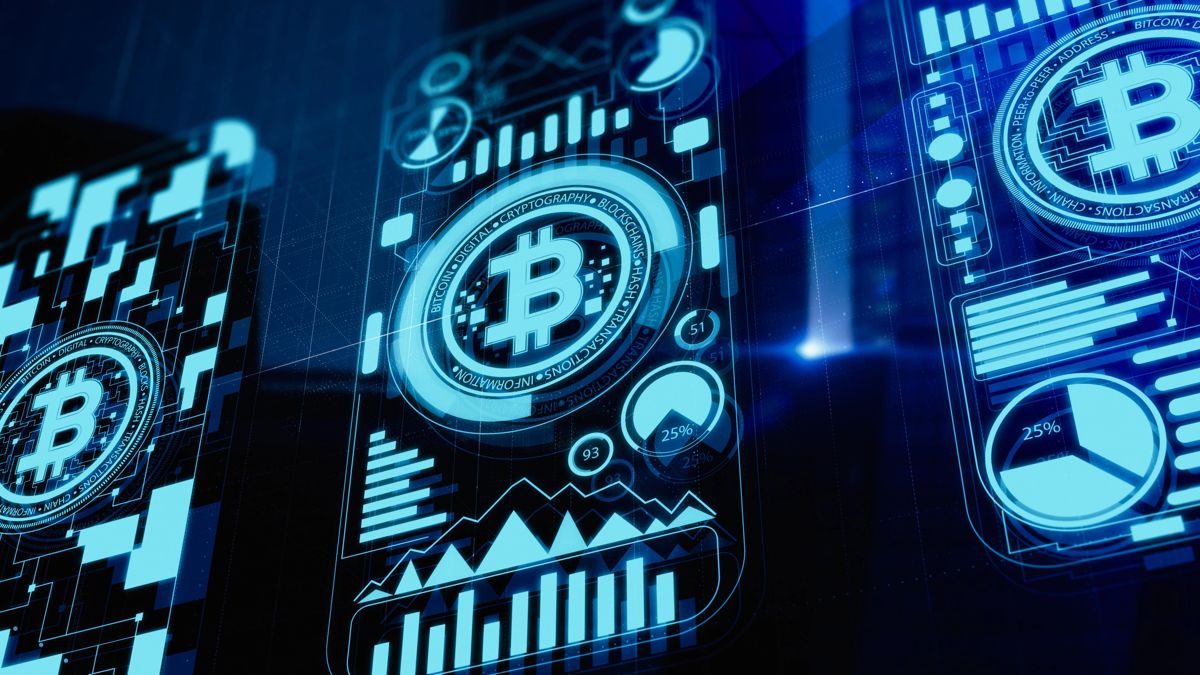 Macroeconomic Factors and Bitcoin's Price Fluctuations