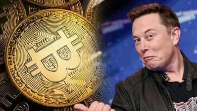 Bitcoin Price Drop: Analyst Predictions