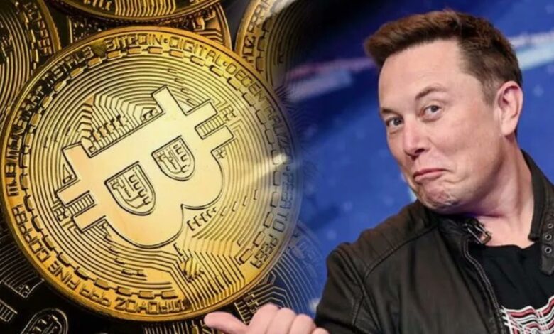 Bitcoin Price Drop: Analyst Predictions