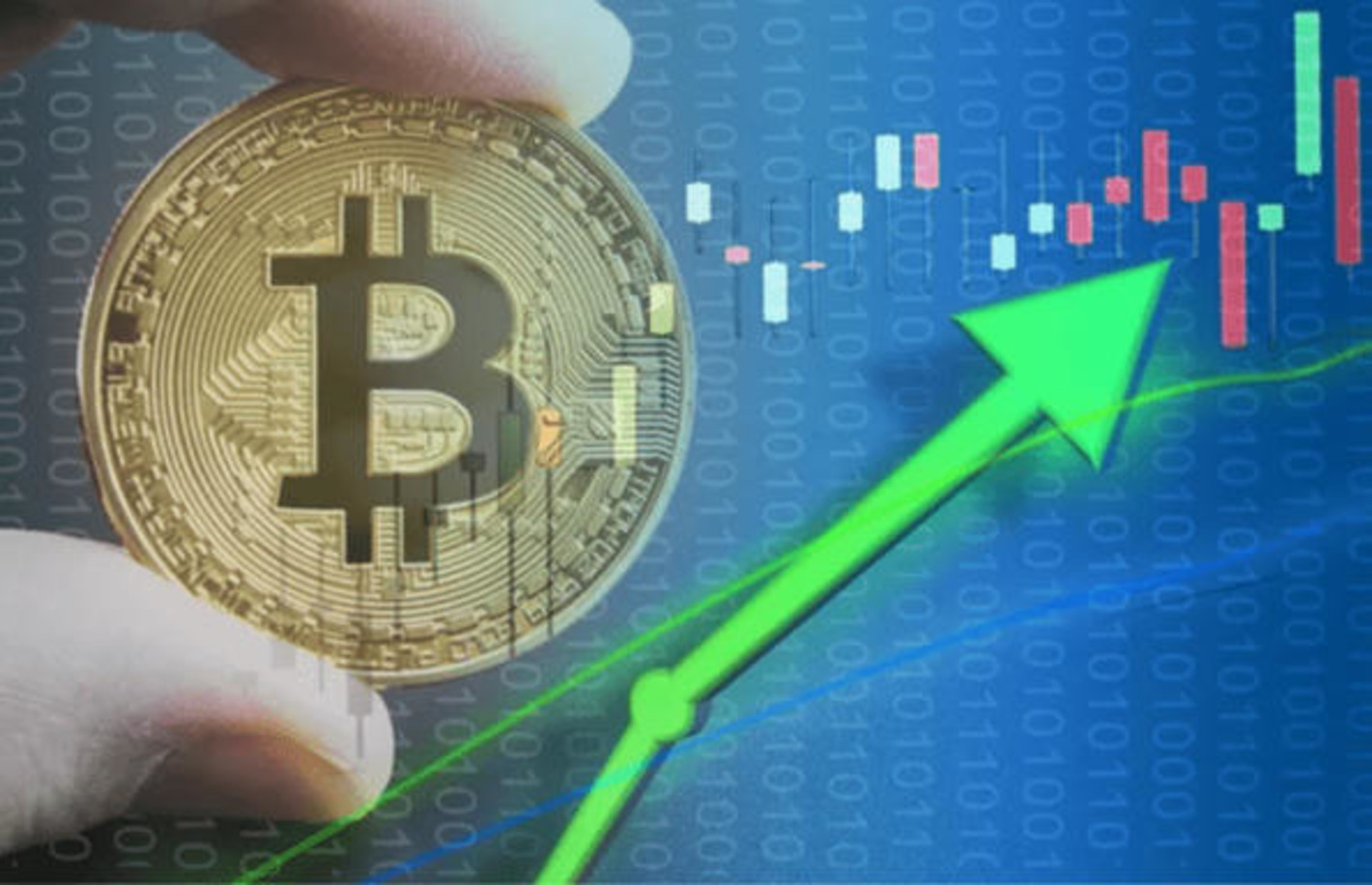 Factors Driving Bitcoin's Price Stability and Growth