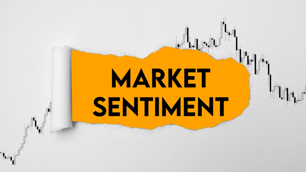 Institutional Influence and Market Sentiment