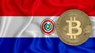 Paraguay’s Bitcoin Legalization