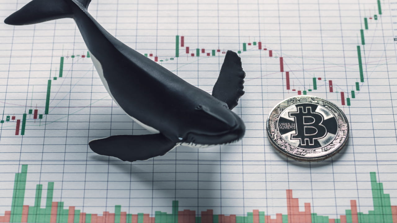 2. Institutional Selling Pressure and Whale Activity